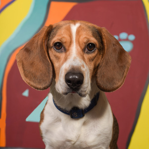 Fundraising Page: Kristin Marteen